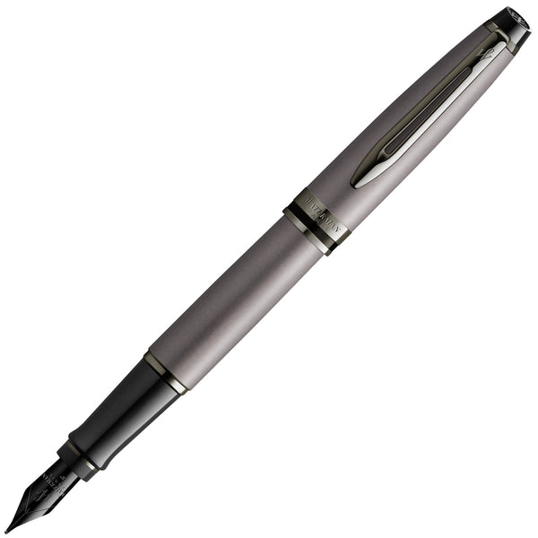 Waterman Füller Expert Metallic Special Ed. ruthenium Metallic Silber-1