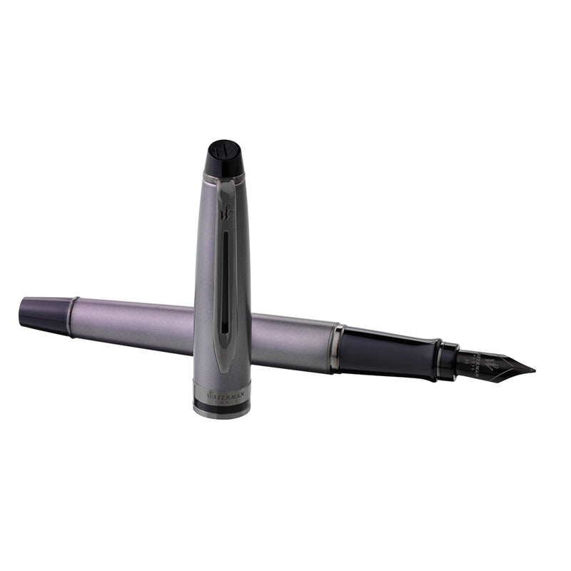 Waterman Füller Expert Metallic Special Ed. ruthenium Metallic Silber-5